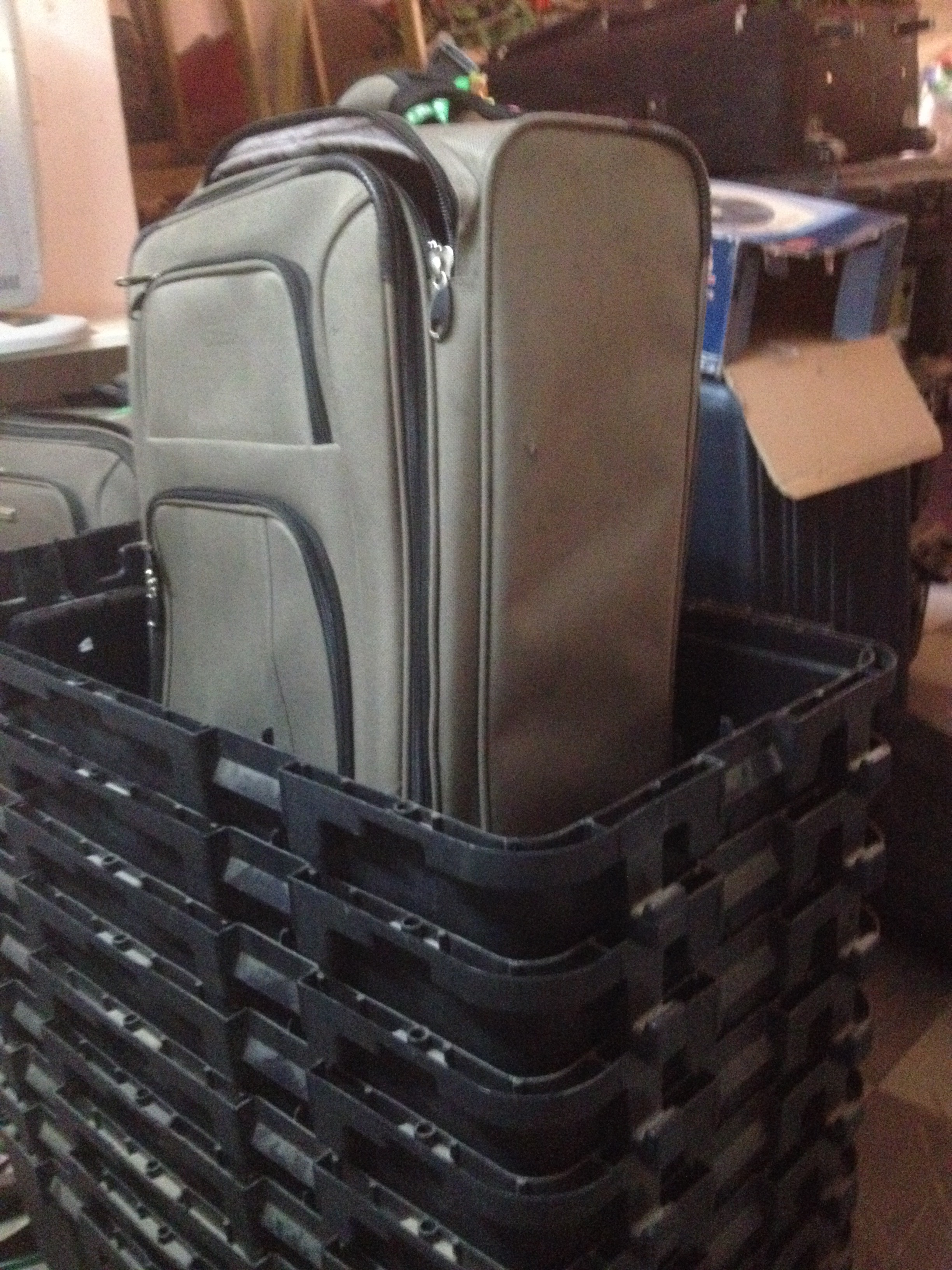 The Termite Trilogy Part 2: Pam’s Revenge