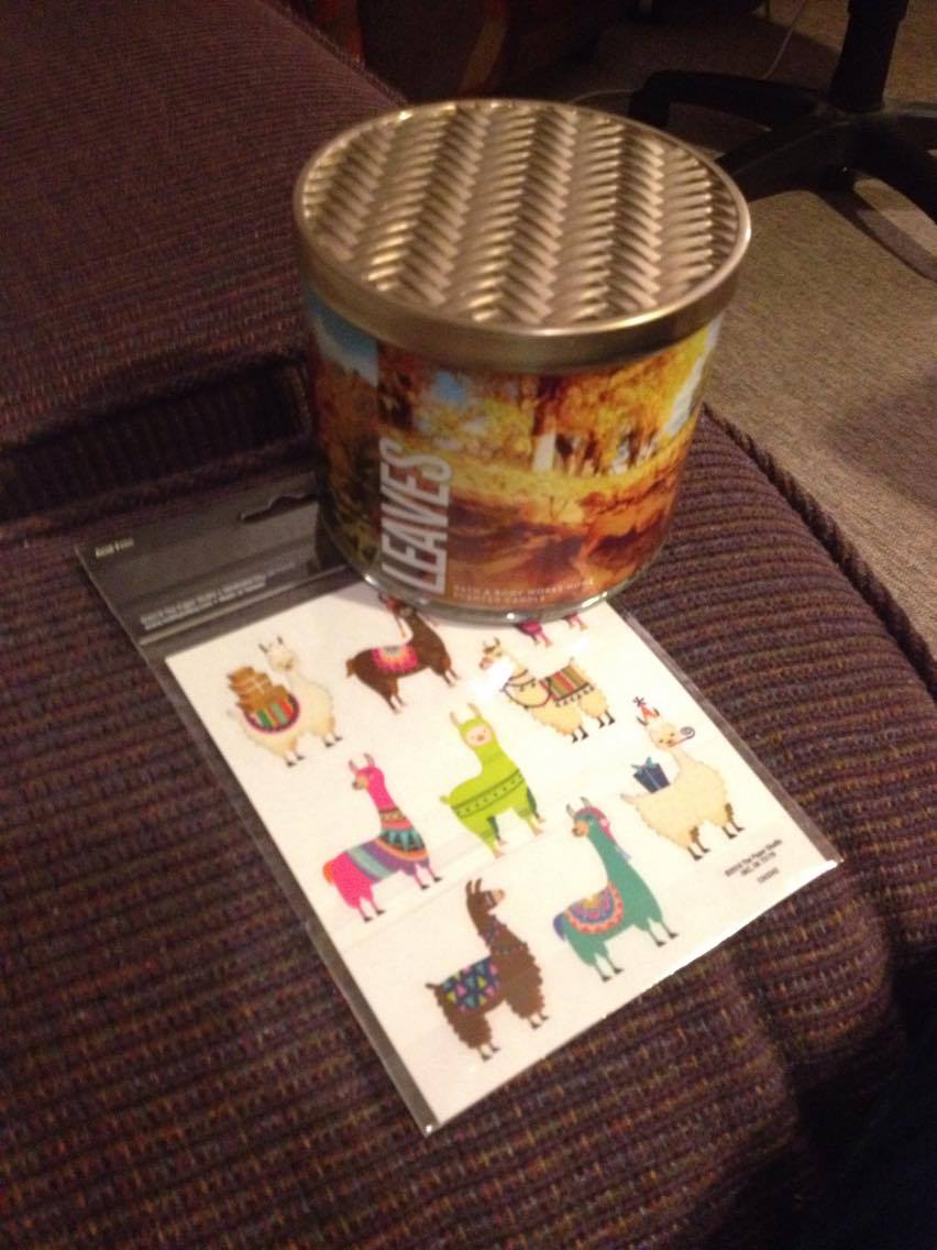 Leaves, Llamas and Changing Seasons