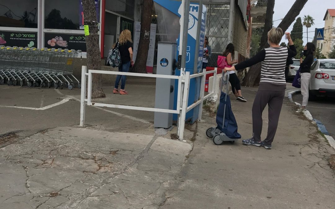 The Grocery Chronicles